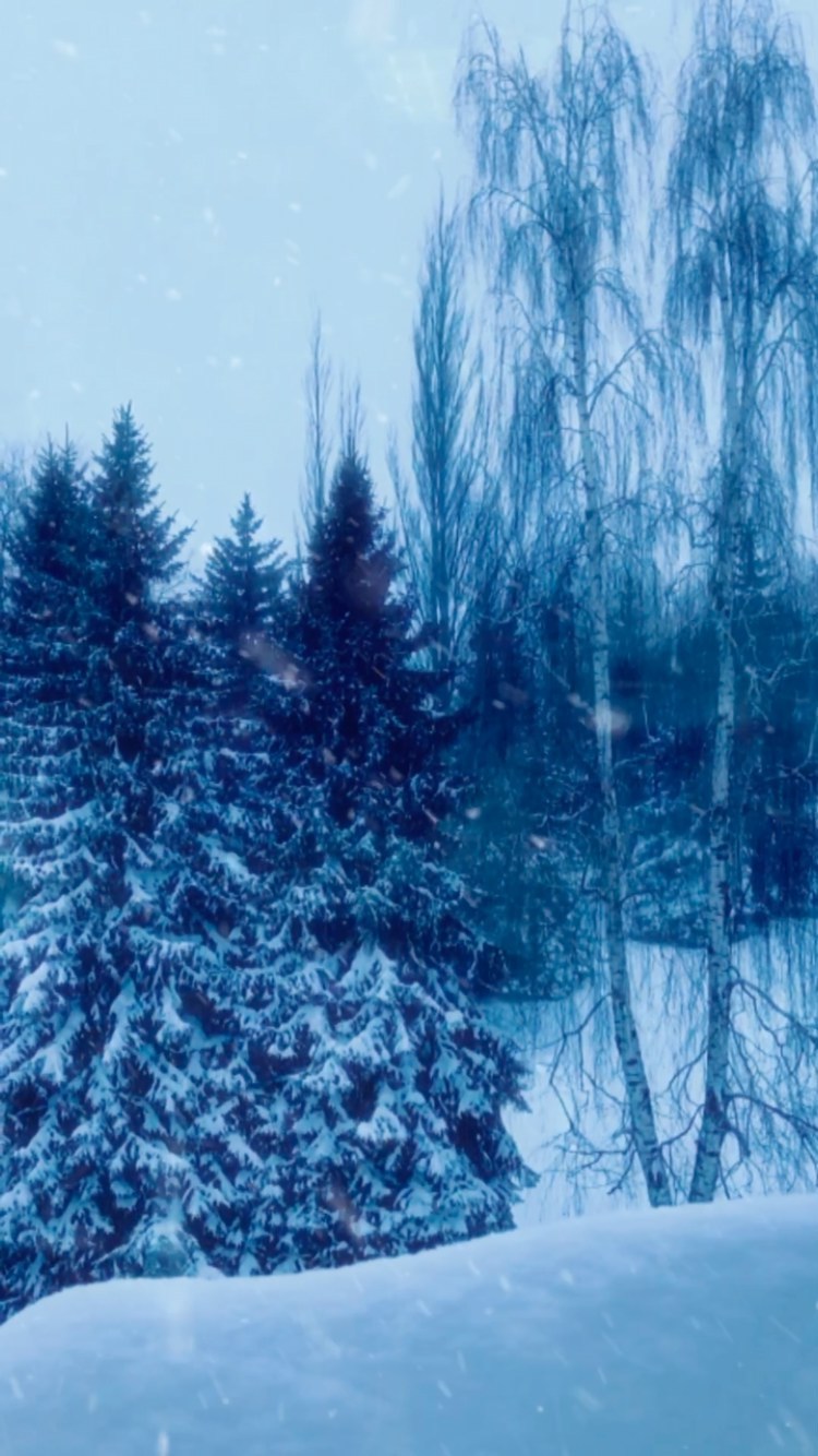 ESSENS СОТРУДНИЧЕСТВО ДУХИ в LOOKY. . null