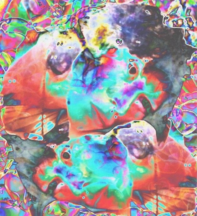 repaerror в LOOKY. . null