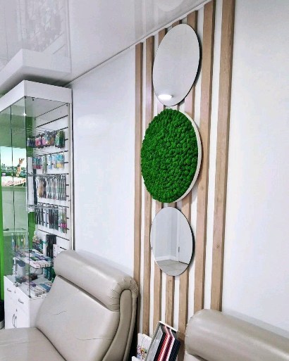 fitodecor в LOOKY. . ФитоКруги из стабили...