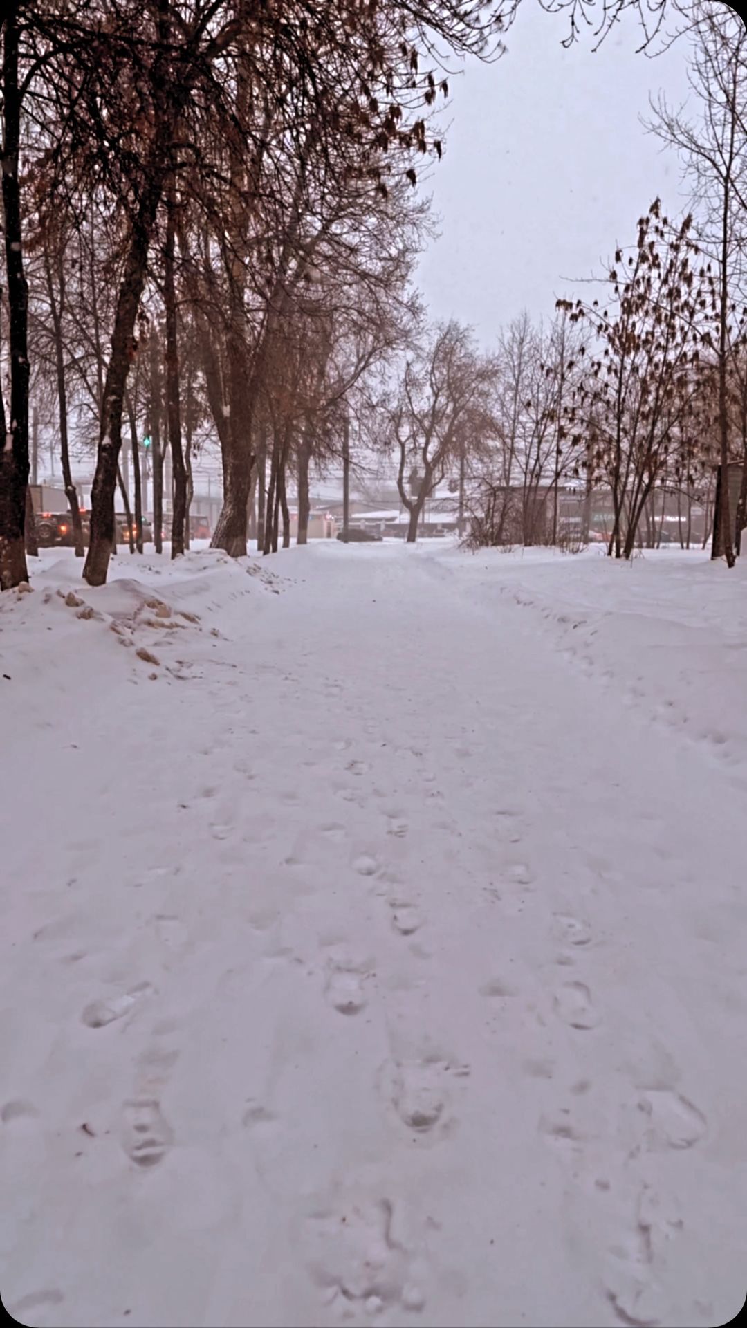 nedobloger_sm в LOOKY. . null