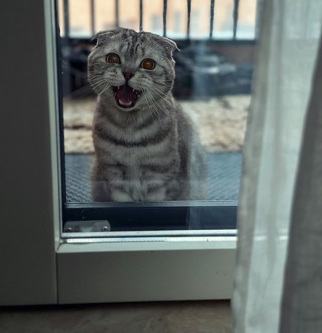 yuliaskladchikova в LOOKY. . null