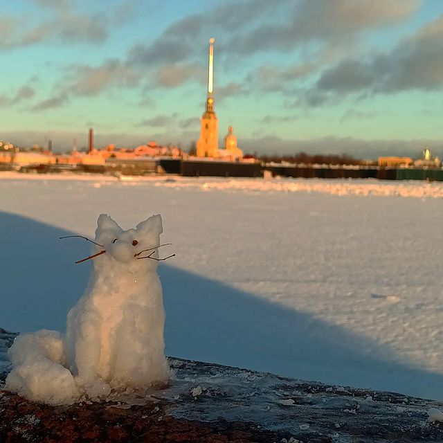 kata_cat в LOOKY. #saintpetersburg,#spb,#spbfoto,#spbgram,#photographer,#photo,#санктпетербург,#фотоспб,#спб,#снеговик,#кот,#fotospb,#фотография. Кошачий Петербург 😻...