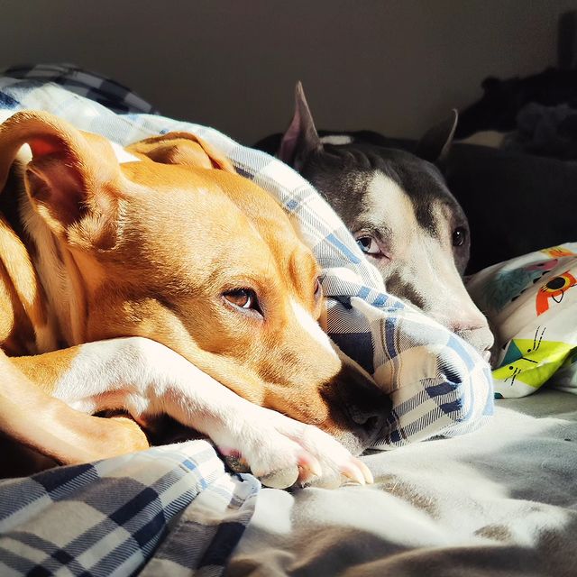 mighty.trio в LOOKY. . My little sunshines ...