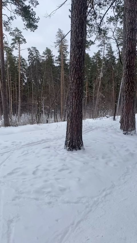  в LOOKY — 💚🎄💚