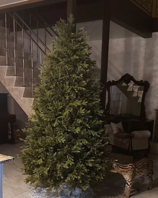 forestelitelines в LOOKY. #новыйгод2024. Вчера собрали 🎄 гла...