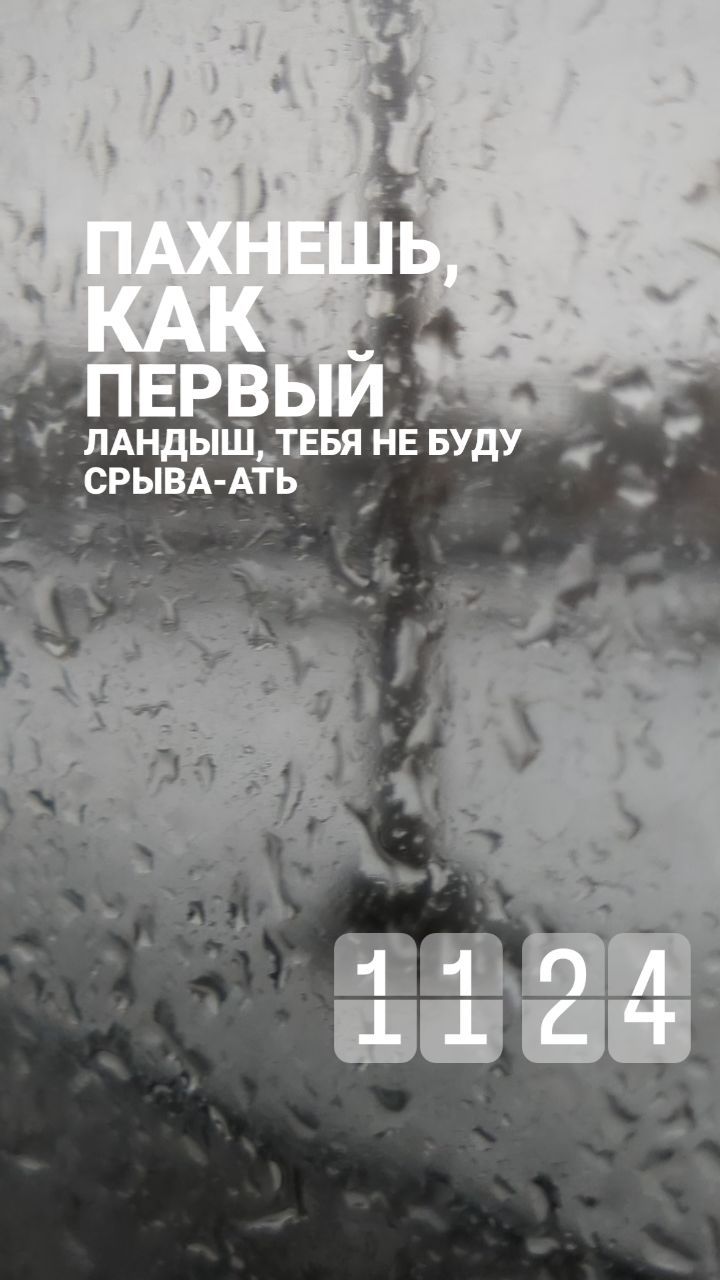 zloy_michkka в LOOKY. . null