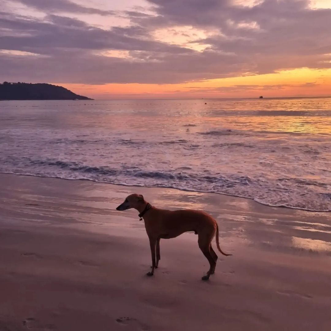 oshubina_71 в LOOKY — фото 2