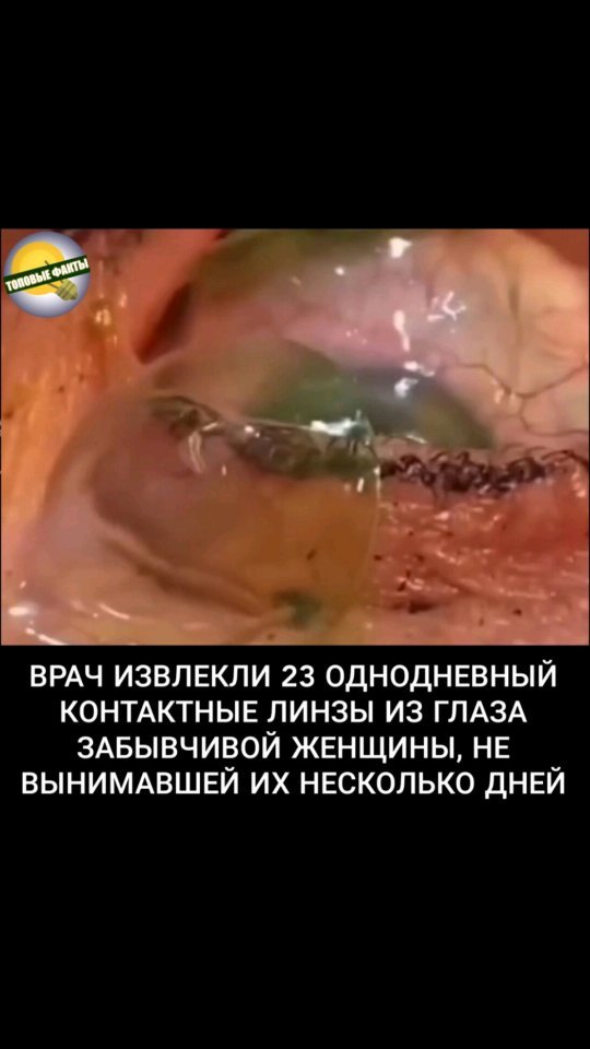 faktst0p в LOOKY. . Спасибо за ❤️
Подпис...