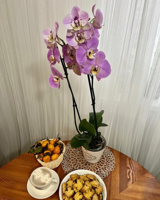 catherine___garden в LOOKY. . Подарите друзьям ман...