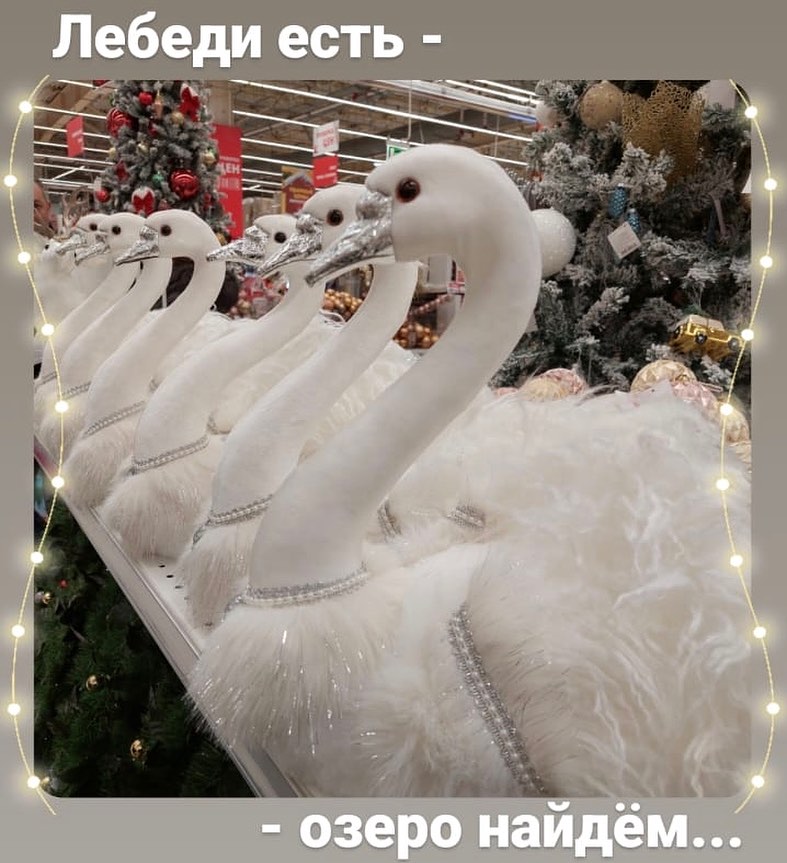 eva7ngelina7 в LOOKY — #озерогдеторядом