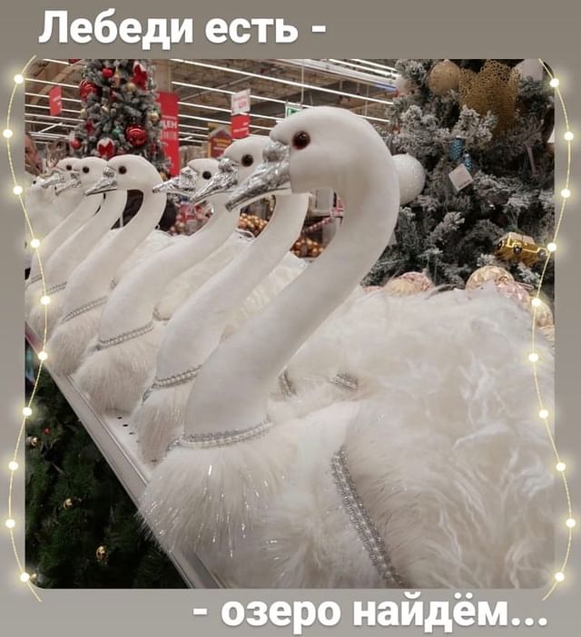 eva7ngelina7 в LOOKY. #озерогдеторядом. #озерогдеторядом