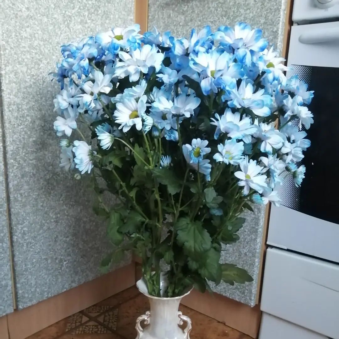 inga_rund в LOOKY. . Опять 20!🥳🥳🥳