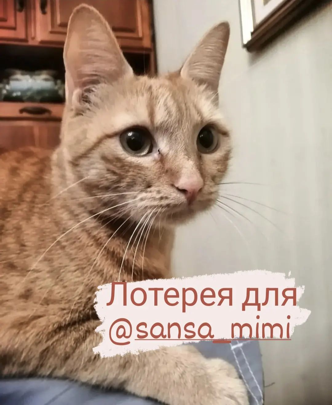 happymarsik в LOOKY — Друзья,  у нас продолжается лотерея для Ма Ирочки, Сансочки 