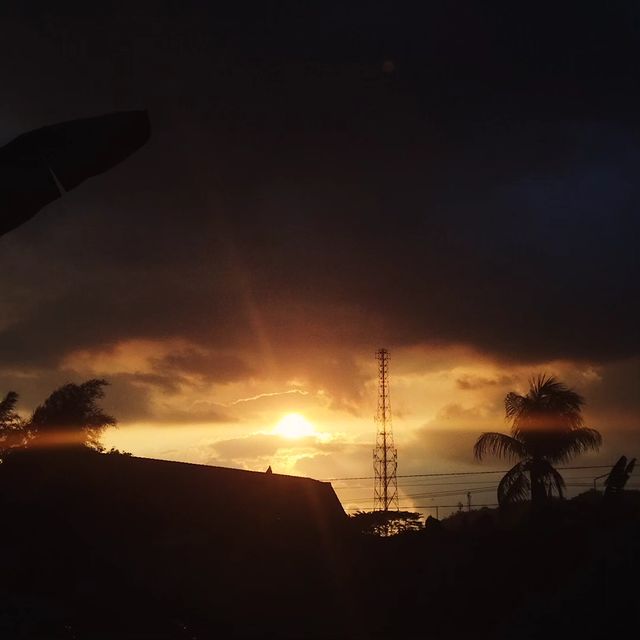 _really.scam в LOOKY. . null