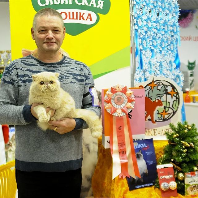 happyfriendcattery в LOOKY. . Мы были на выставке ...