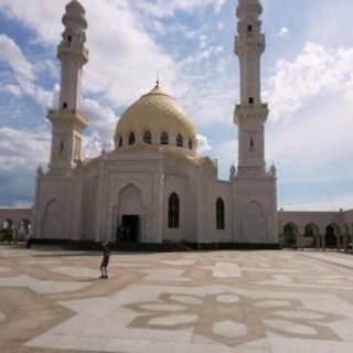 shamil_inter в LOOKY. . null