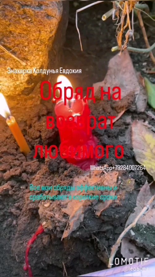 znaharka_evdokiya60 в LOOKY. #приворот,#магия,#таро,#приворотналюбимого,#кладбищенскийприворот,#приворотнамусульманина,#обряднавозвратмужа,#приворотвуду,#обрядотизмен,#однополыйприворот,#приворотнакрови,#черныйприворот. 🔮ОБРЯД НА ВОЗВРАТ Л...