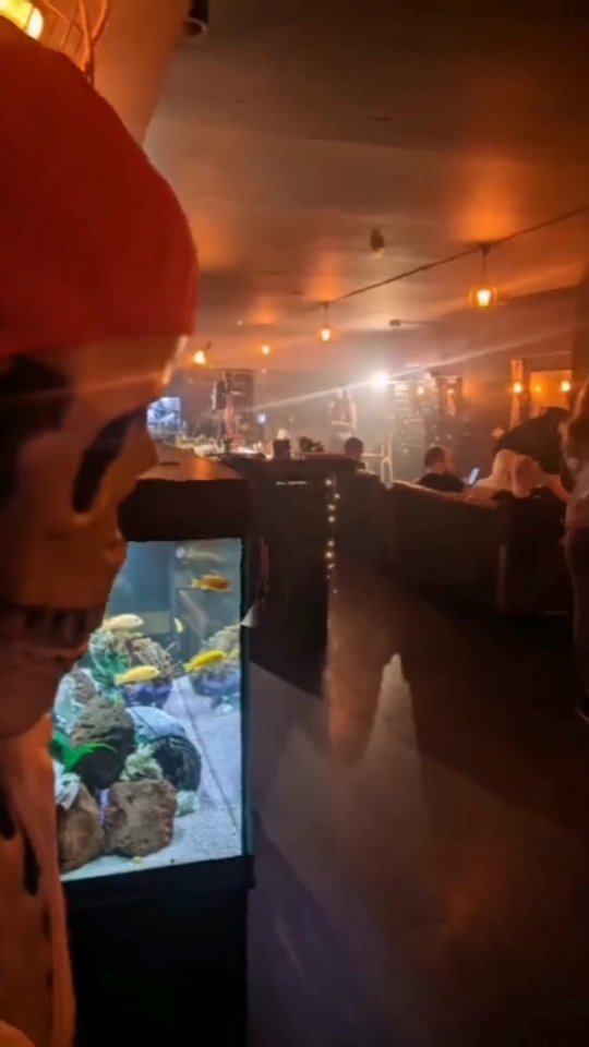 taynik.rodgera в LOOKY. . 🏴‍☠️Ahoy всем, кто ...