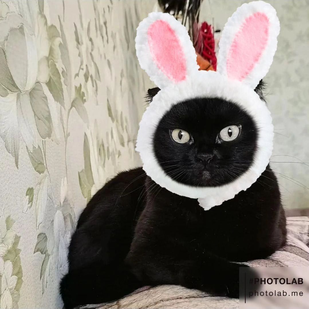 Новый год 🎄 к нам мчится 🤣🤭