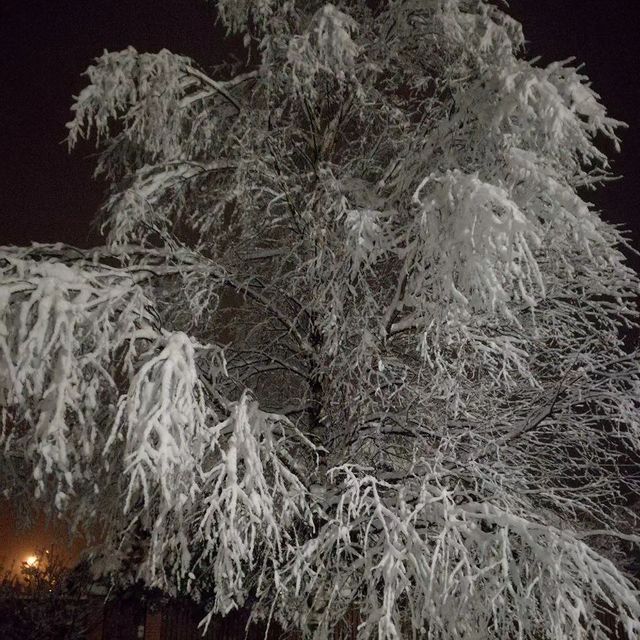 sashkasashkovna в LOOKY. . Как же чудесна Зима'...