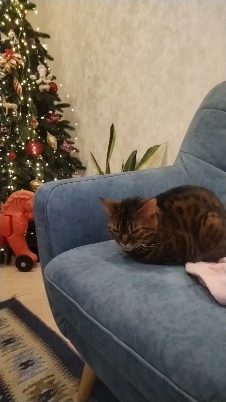 людок72 в LOOKY. . 🎄🎄🎄