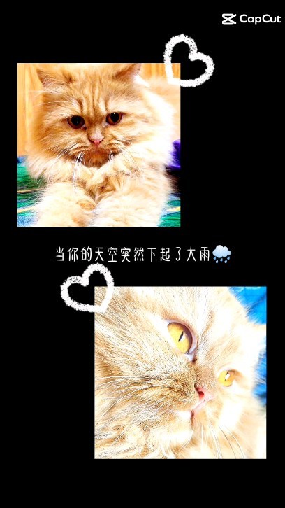 m_iko2006 в LOOKY. . 愛してます💝