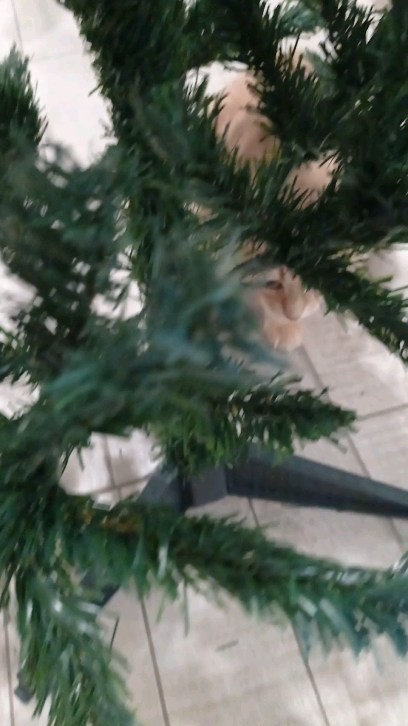 Елена Кораблина в LOOKY. . Люди , у которых нет...