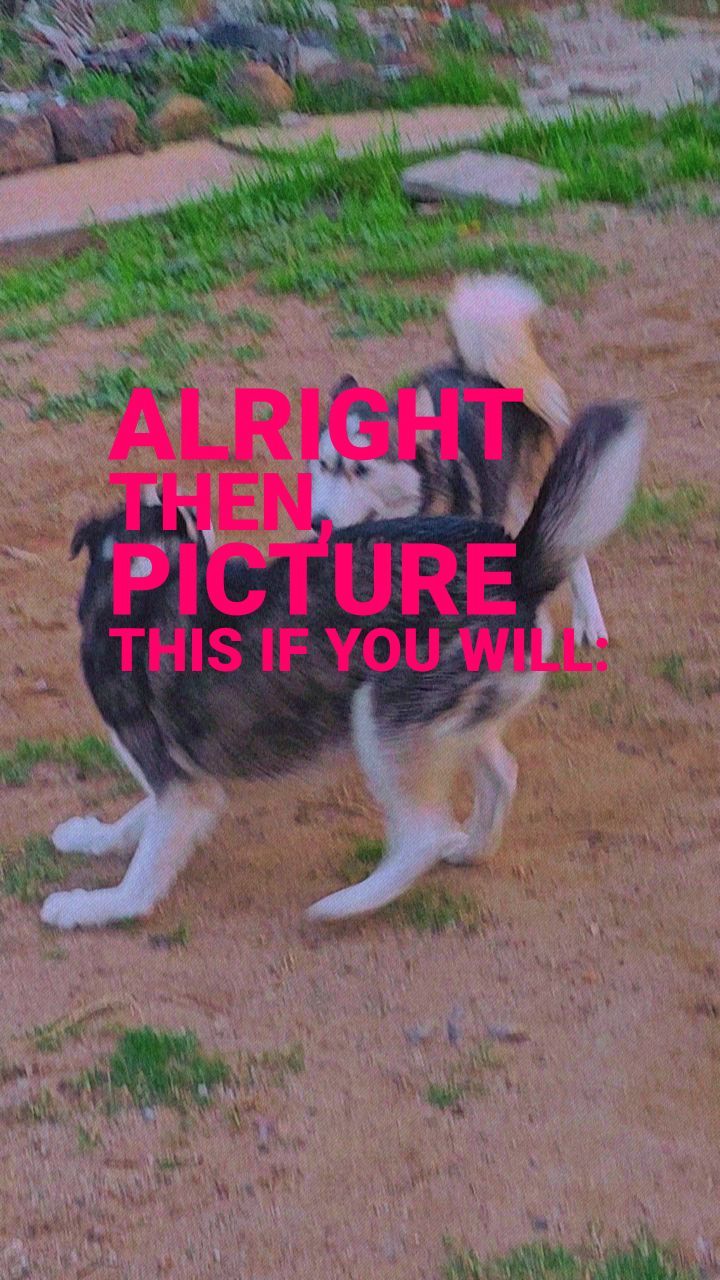 rogecan0 в LOOKY. . null