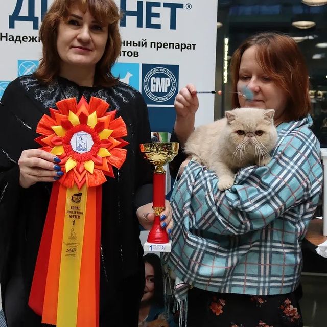happyfriendcattery в LOOKY. . Весь шоу сезон Юблей...