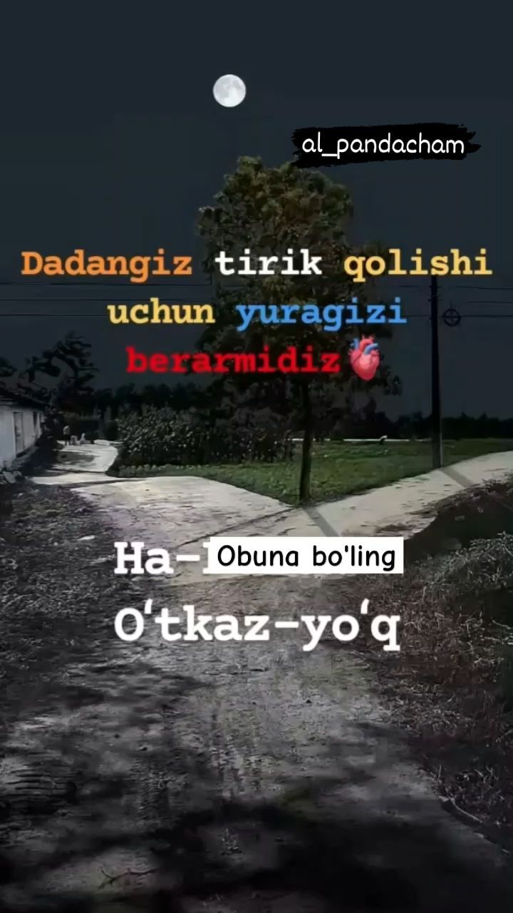 qora_tunlarm в LOOKY. . Dadangiz trik qolish...