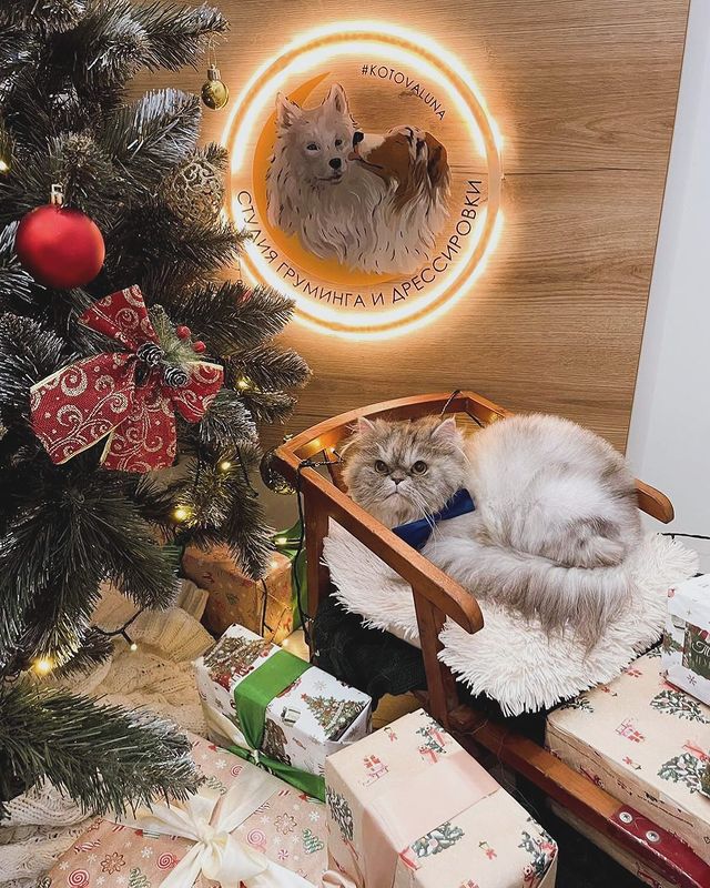 bethany_lazarus_ в LOOKY. . с новым годом, с чис...