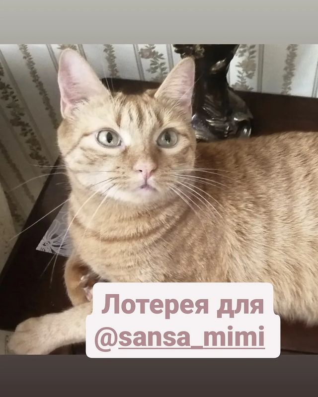 happymarsik в LOOKY. . Наша лотерея продолж...