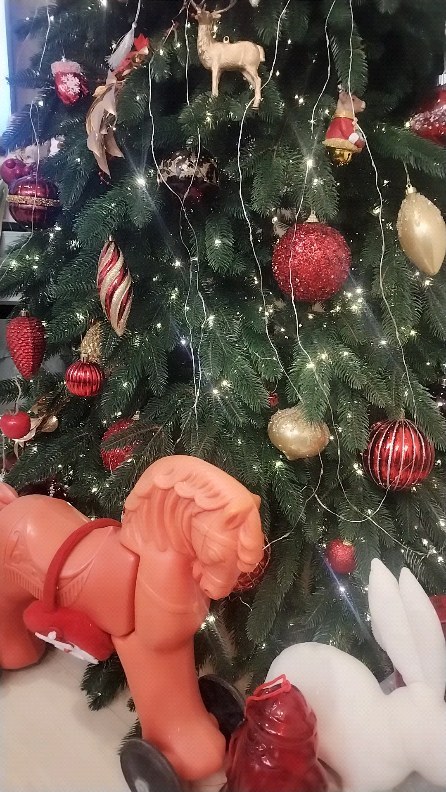 людок72 в LOOKY. . null