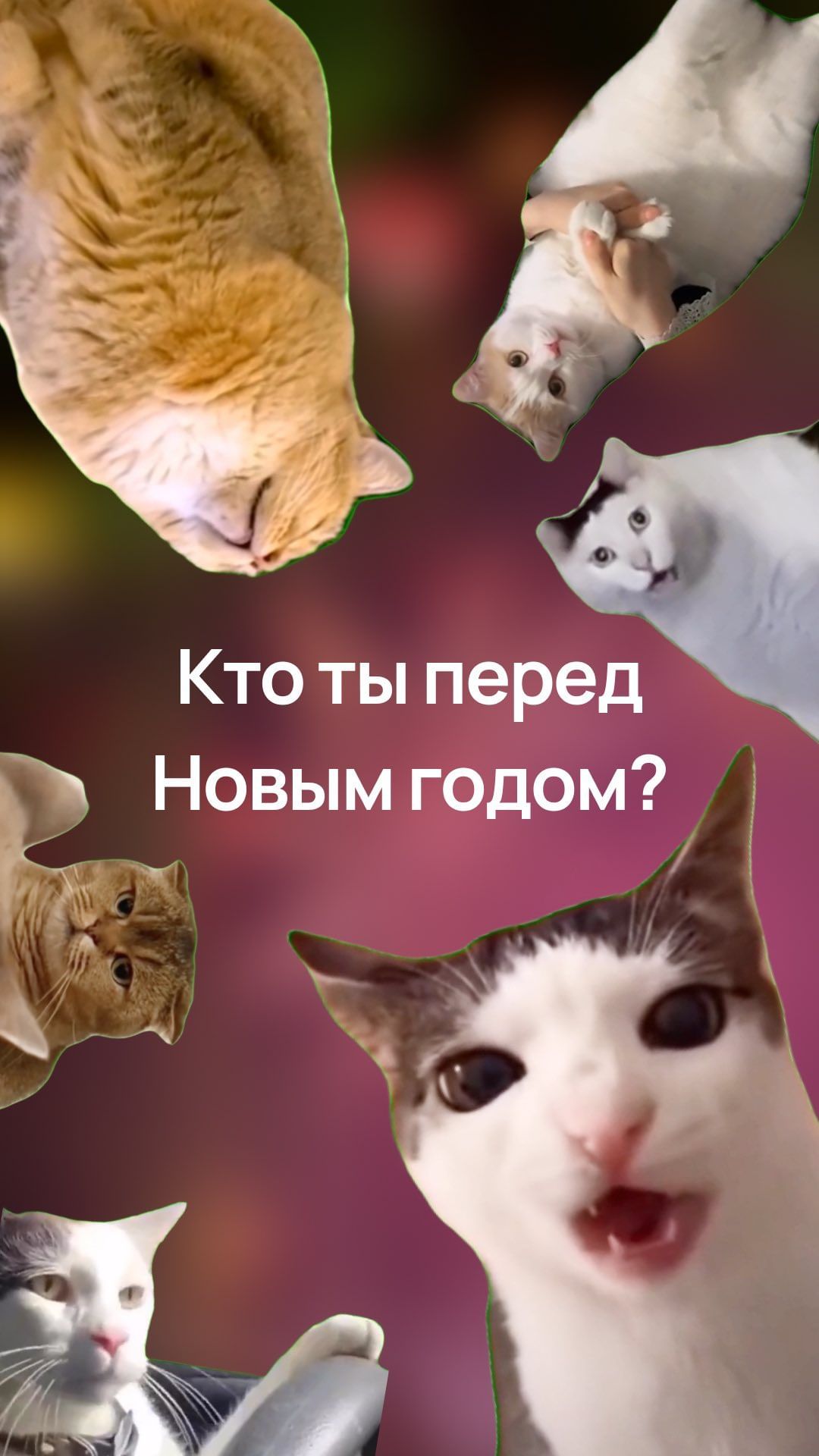 blogway_pro в LOOKY. . Отправь тому, кого у...