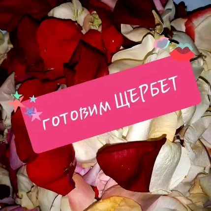 povar_na_zakaz_tomsk в LOOKY. . null