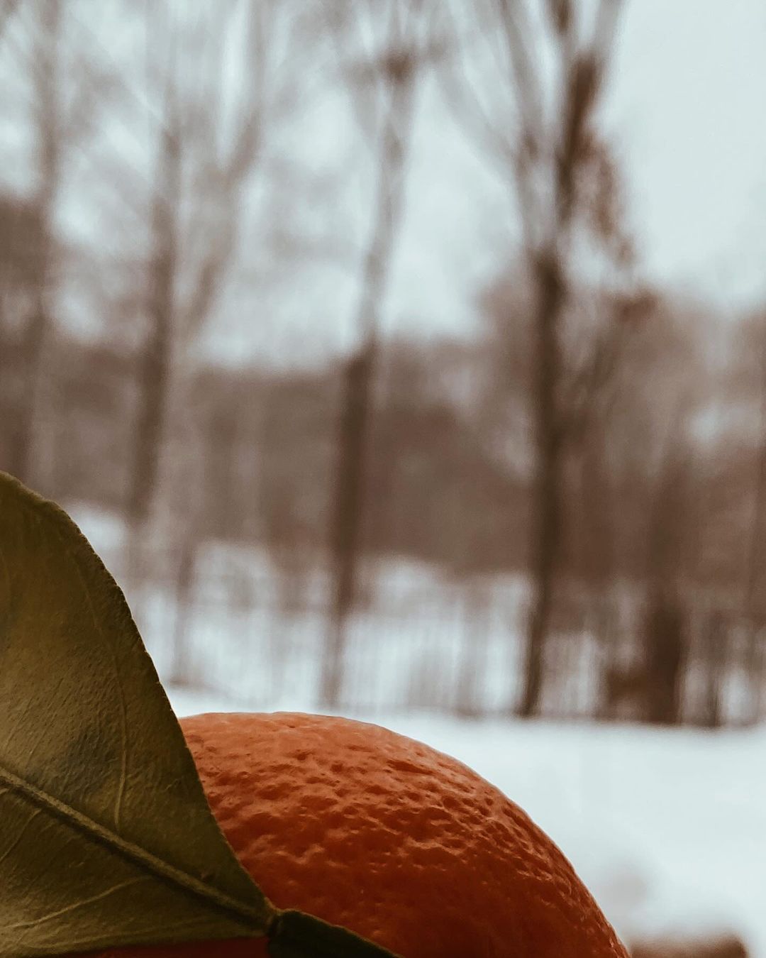 valentina_elfik в LOOKY — #winter #cold #snow #romantic