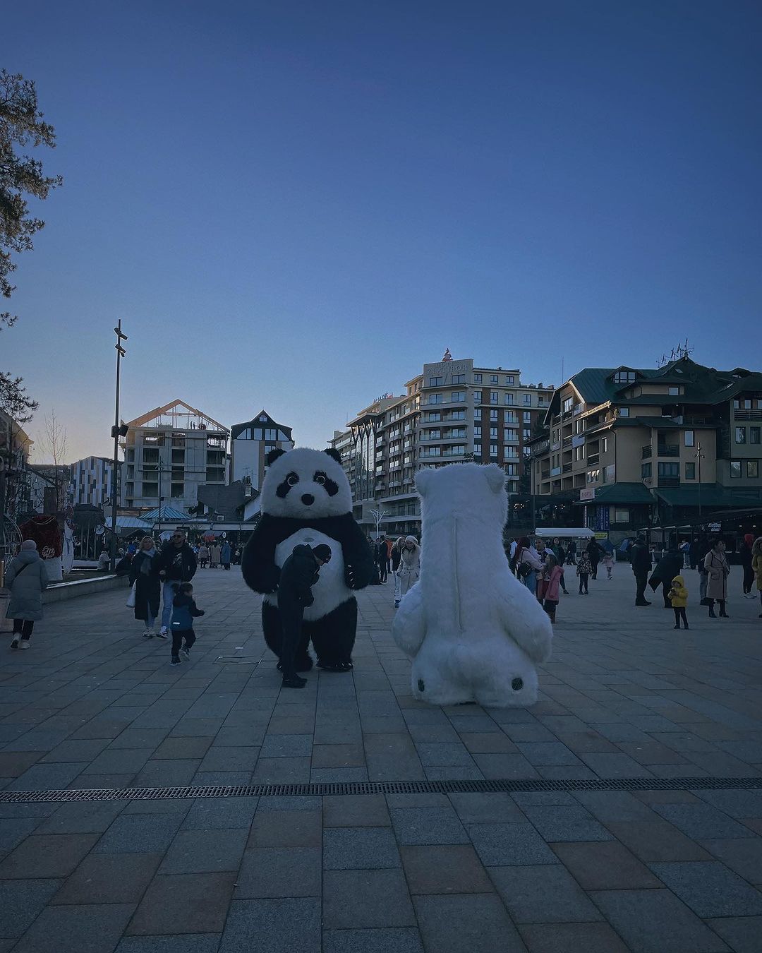 vikacerovic в LOOKY — фото 6