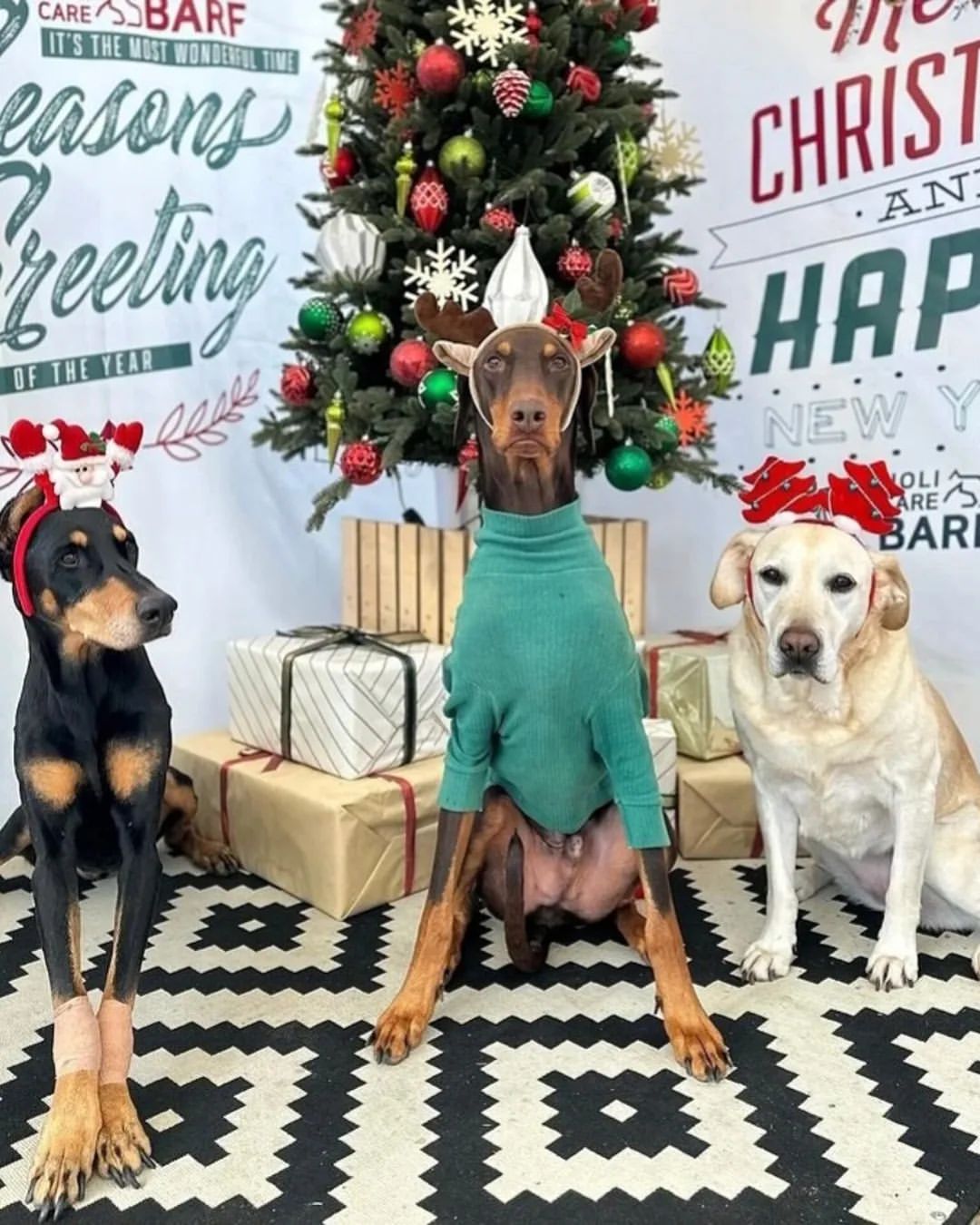 Bam and his friends are ready for the holidays!🎄Merry Christmas and Happy New Year🎉🎇 🎁☃️ @bts.bighitofficial #방탄소년단 #bts #btsarmy #bighitmusic #bam #btsbam #jeonbam #bamjeon #bamjk #jeonbam🐶 #jeonfamily #merrychristmas #happynewyear #happyholidays