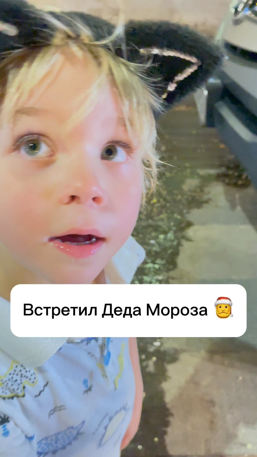 bogomolovaw.life в LOOKY. . null