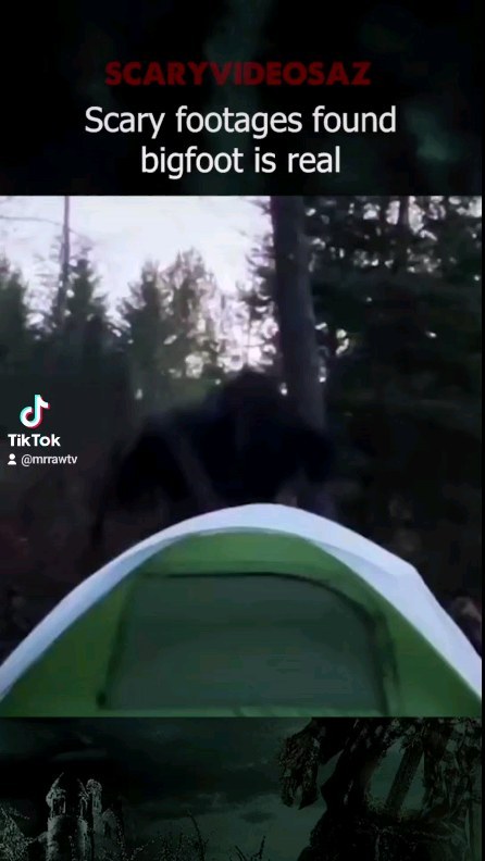 ilikepumpkinsoupp в LOOKY. . (REAL BIGFOOT) "MUST...