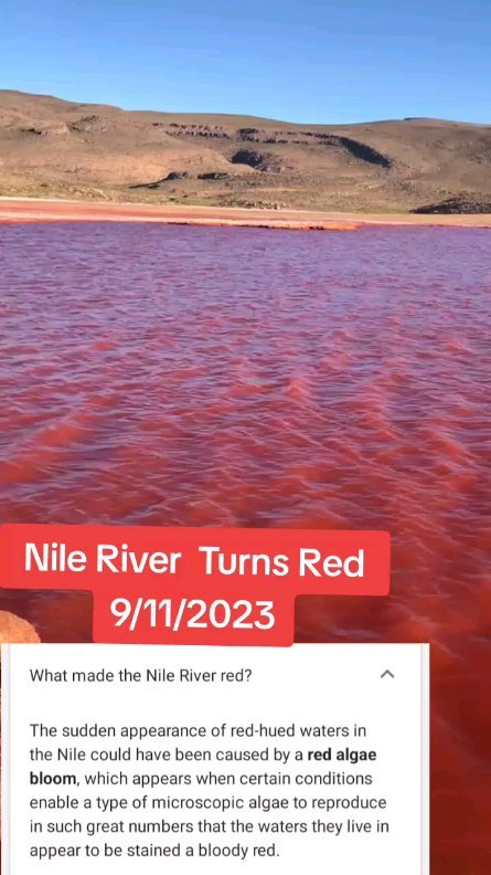 ilikepumpkinsoupp в LOOKY. . BIBLICAL PROPHECY