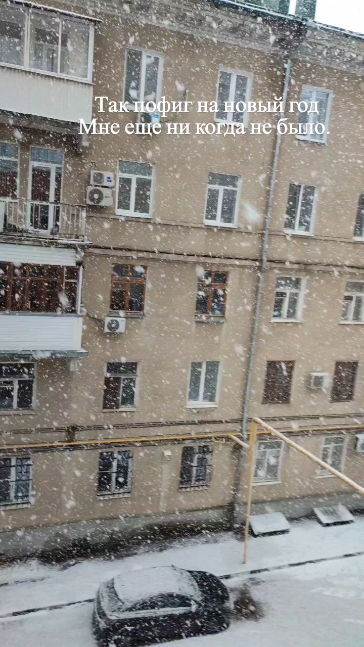 purpurny_dvizh в LOOKY. . Новый поворот 2023,ч...