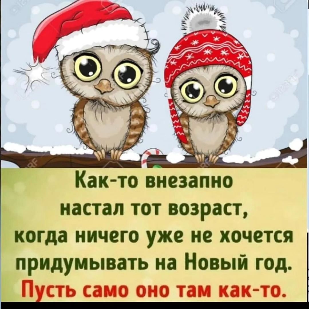 olgarezachkinasw в LOOKY — публикация