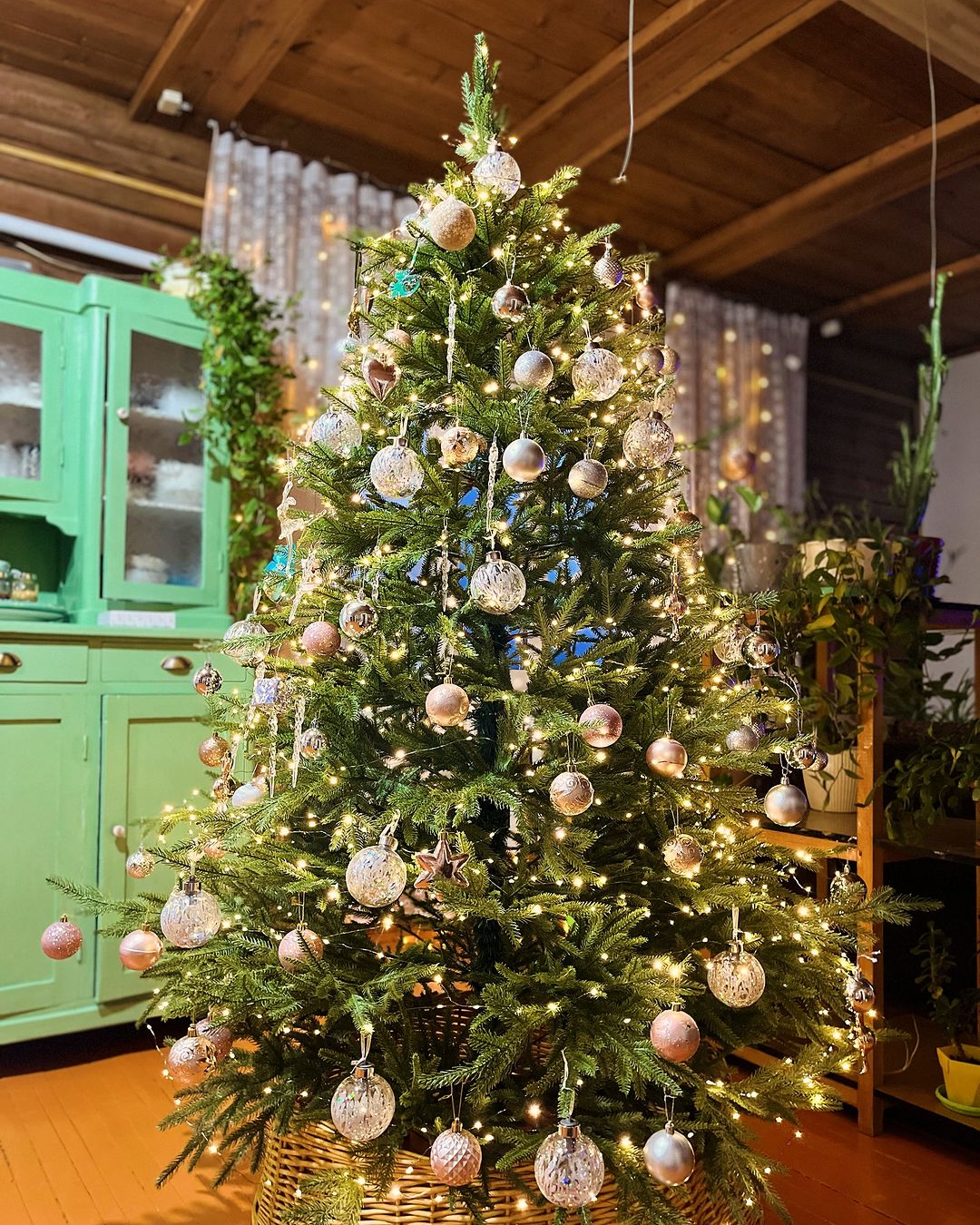 #сновымгодом🎄