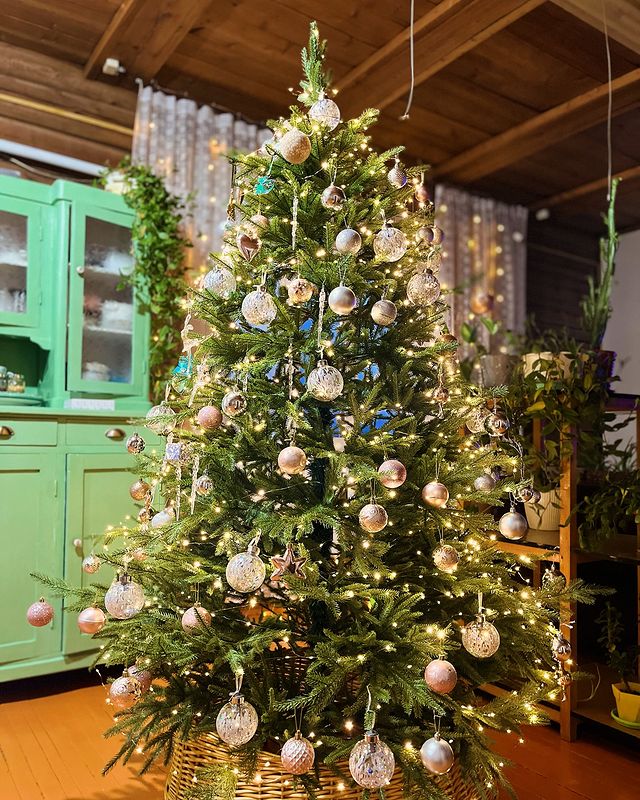 veravladlenovna в LOOKY. #сновымгодом🎄. #сновымгодом🎄