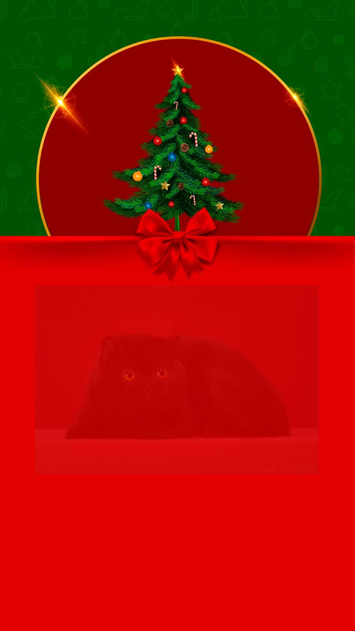 happyfriendcattery в LOOKY. . null
