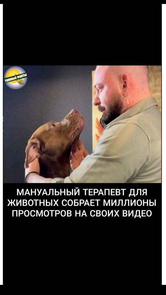 faktst0p в LOOKY. . Спасибо за ❤️
Подпис...