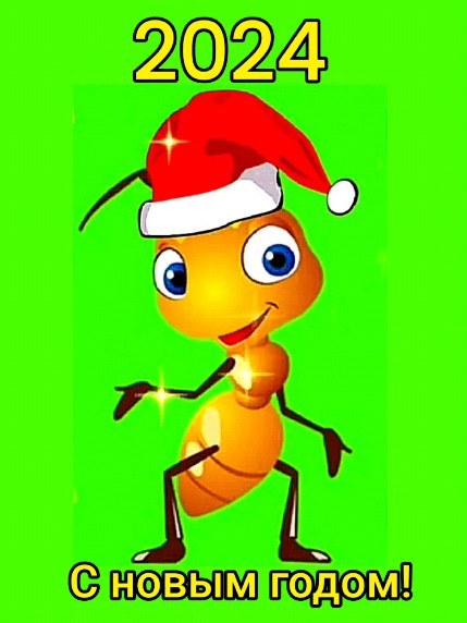 ant_happy_27 в LOOKY. #муравьихабаровск,#муравьиныефермы,#формикарийхабаровск,#хабаровск,#подарки,#дети,#новосибирск,#формикариихабаровск,#подаркихабаровск,#муравьихабаровск,#муравьинаяфермахабаровск,#срочно,#формикарий,#муравьи,#счастливыймуравей,#хобби,#новыйгод. Дорогие друзья! Пуст...