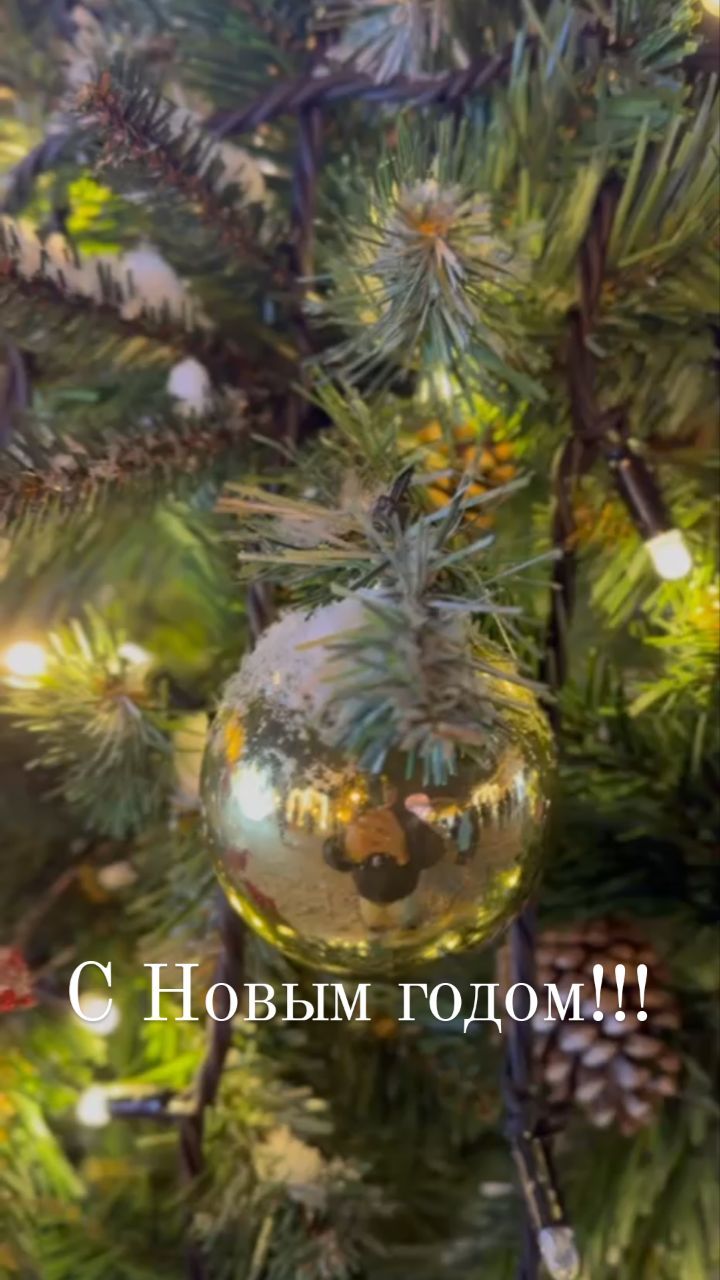 ingashamsutdinova в LOOKY. . null