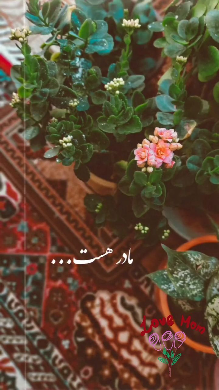 amir_morady83 в LOOKY. #مادر,#مامان,#روز_مادر,#حس_خوب,#زندگیم,#مهران_مدیری,#پادکست,#دکلمه,#مامانم,#روز_مادر_مبارک❤. ارزش خانه به خنده ها...